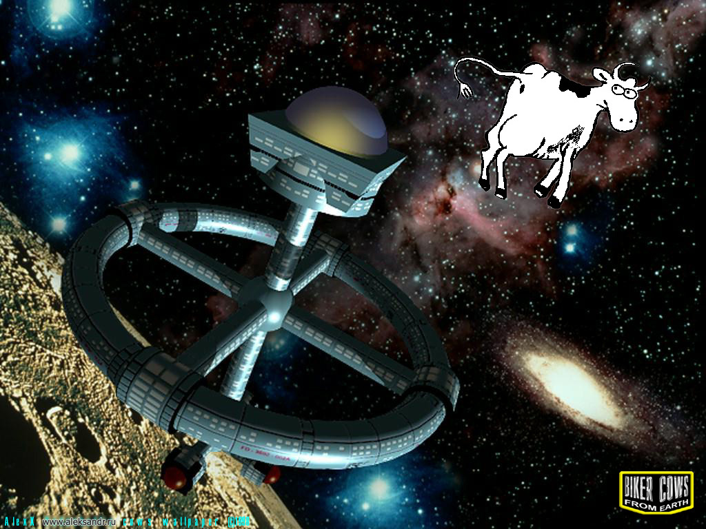 [1998] Space Cow